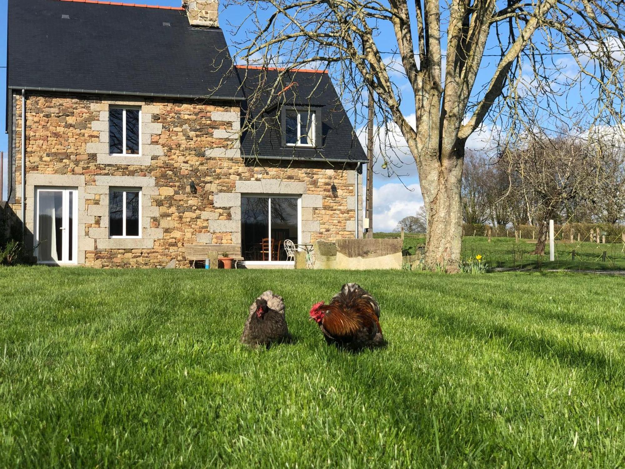 Maison Chic Proche Du Mont Saint Michel Marcilly  المظهر الخارجي الصورة